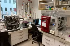 Magyar kutatók értek el áttörést a szervkárosodás megelőzésében
