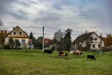 Teljesen felboríthatja a falusi ingatlanpiacot Navracsicsék törvényjavaslata