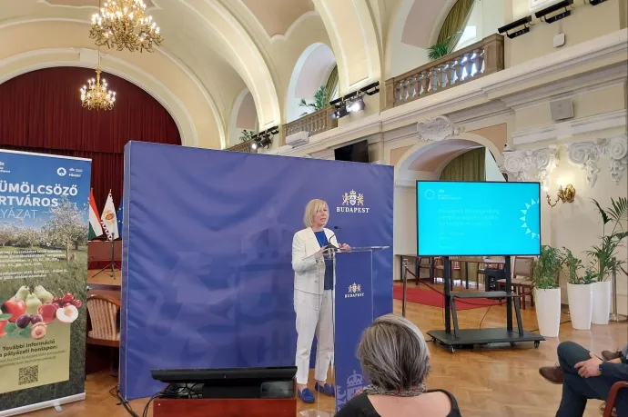 Budapesten 1 százalék alatt van az épületenergetikai felújítások rátája, de ez a közeljövőben megváltozhat