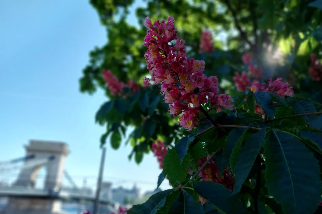 Blurred placeholder