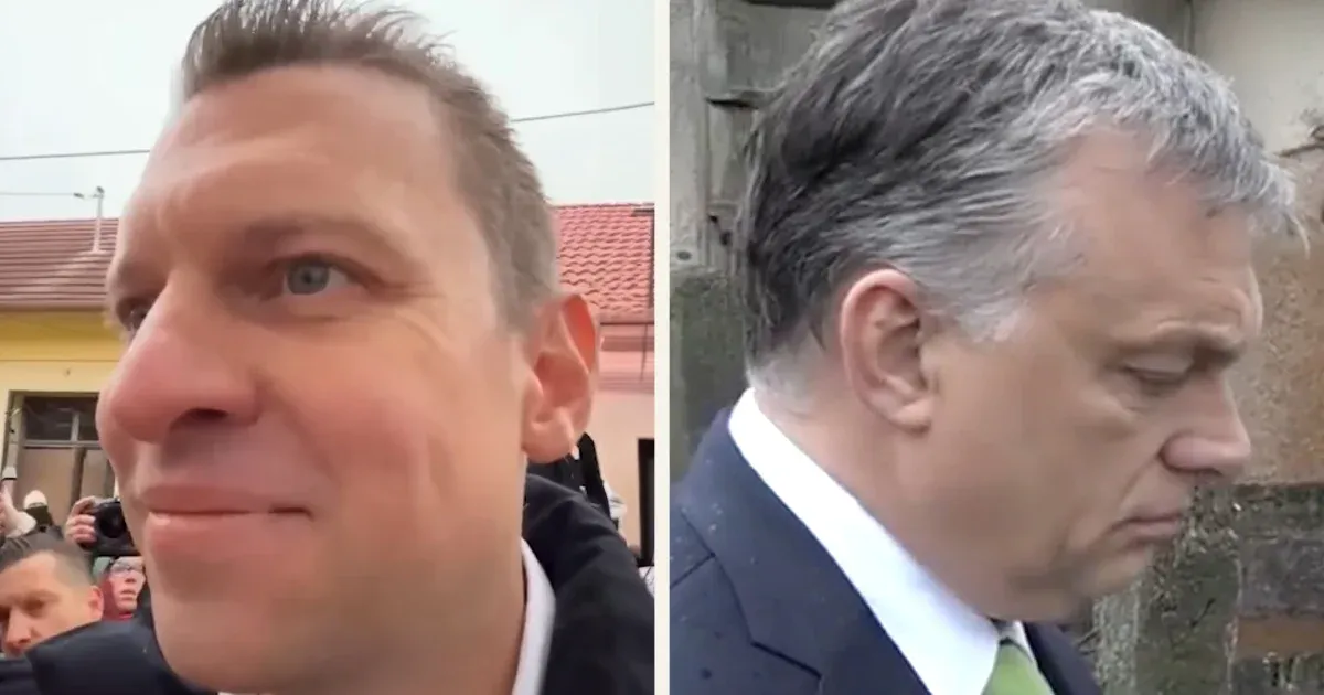 Szájkarate: „Vége van, kicsi” vs. „Na helló, röfik”