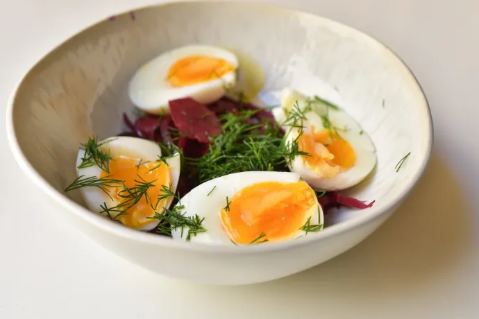 Fotó: Ács Bori / Telex