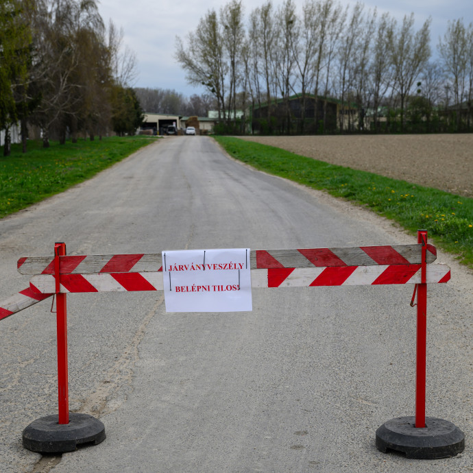 Eltűntek a száj- és körömfájás vizsgálati eredményei a Nébih oldaláról