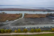 Biológiai módszerrel védekezik a katasztrófavédelem a szúnyogok ellen