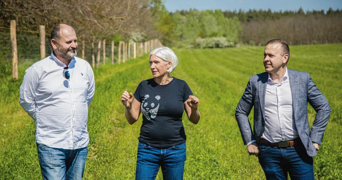 Még bokáig is alig ér, és ezt nevezik erdőnek?