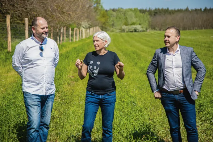 Még bokáig is alig ér, és ezt nevezik erdőnek?