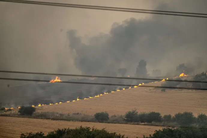 Fotó: Mostafa Alkharouf / 2025 Anadolu / AFP