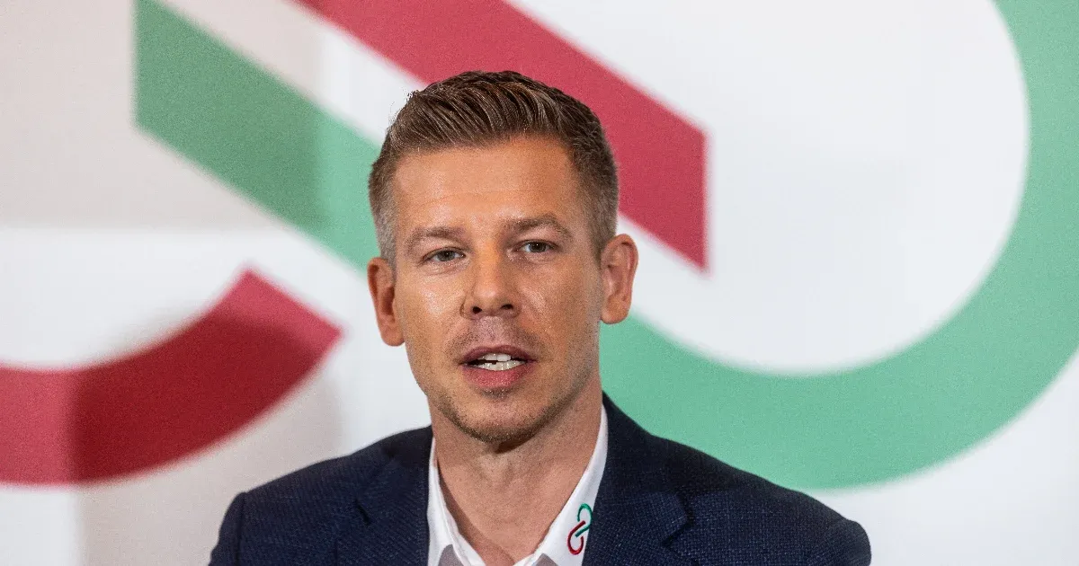 Magyar Péterhez irányított a Fidesz, amikor a képviselőjük balhézó fiáról tettünk fel kérdéseket