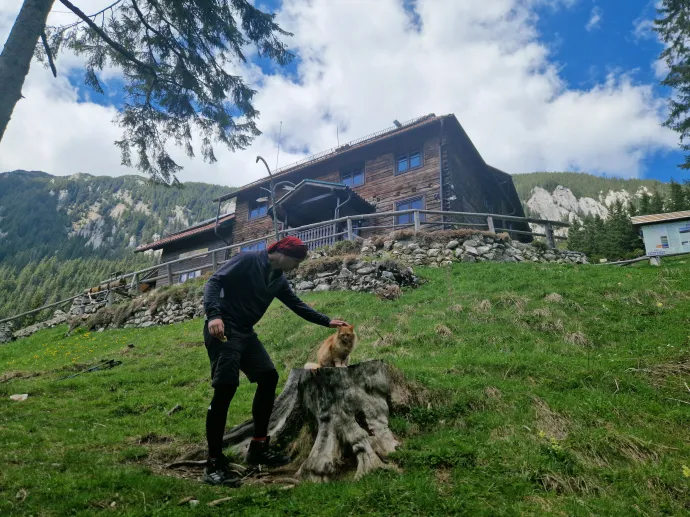 A Curmătura menedékház és kabala állata, a Portocala (magyarul Narancs) névre hallgató macska – Fotók: Tőkés Hunor / Transtelex
