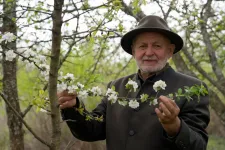 Egy kis kényelem miatt odadobták az emberek a kultúrájukat, vallja a magyar gyümölcs megmentője