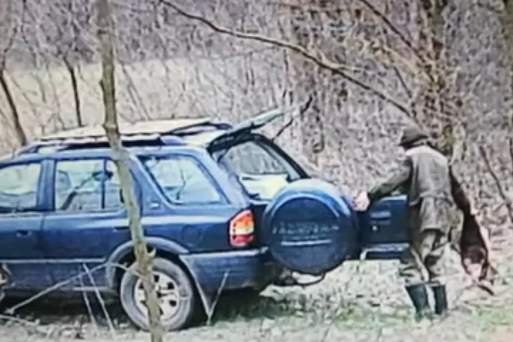 Illegális dögkútban talált lelőtt kutyák miatt indult nyomozás Nyíradonyban