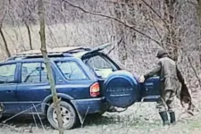 Illegális dögkútban talált lelőtt kutyák miatt indult nyomozás Nyíradonyban