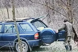 Illegális dögkútban talált lelőtt kutyák miatt indult nyomozás Nyíradonyban