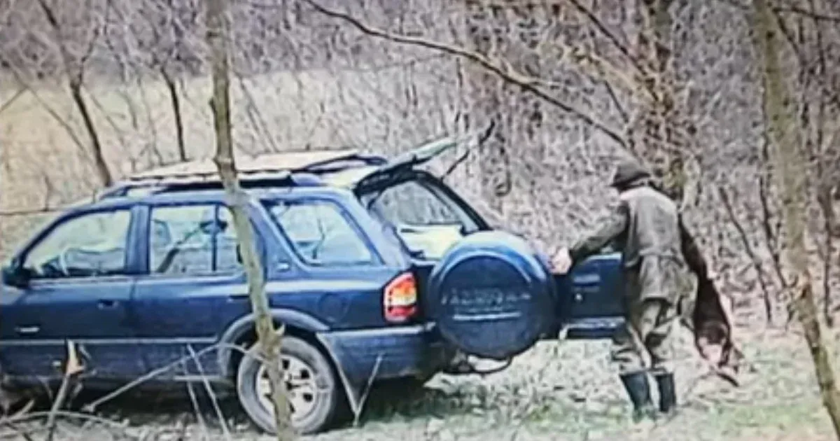 Illegális dögkútban talált lelőtt kutyák miatt indult nyomozás Nyíradonyban