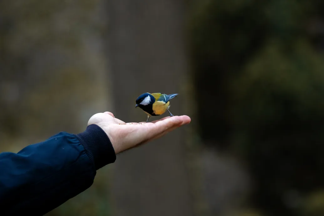 Blurred placeholder