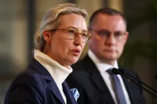 Bíróságon támadja meg az AfD, hogy szélsőséges szervezetnek minősítették