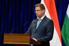 Ez egy lepkefing, mondta Gulyás Gergely a Magyar Péter által bemutatott hangfelvételről