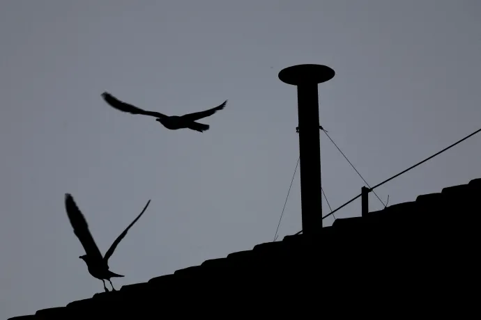 A sirályok végigasszisztálták május 7-ét, a pápaválasztás első napját – Fotó: Beata Zawrzel / NurPhoto / AFP; Yara; Murad Sezer / Reuters