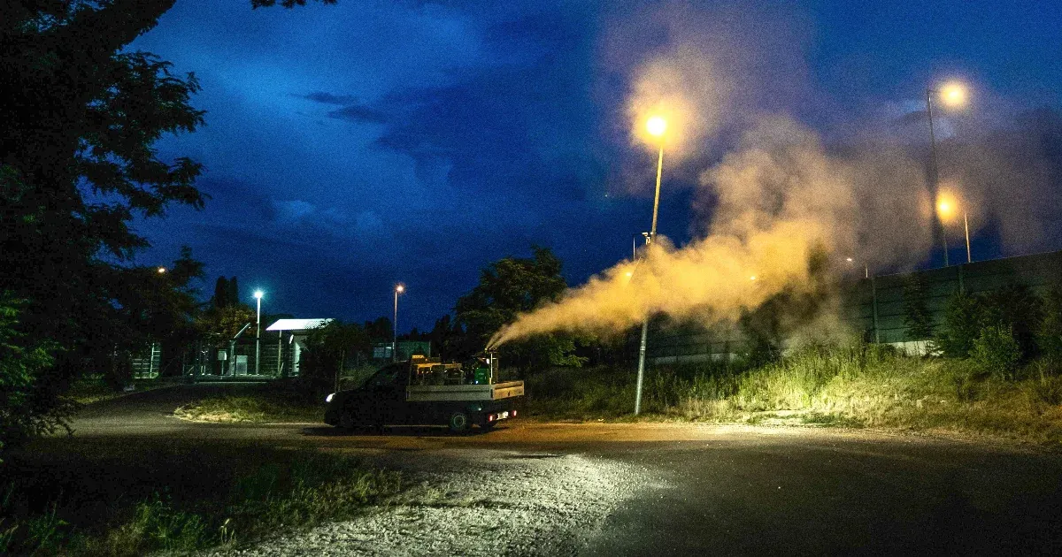 Változtatni kéne a „csíp a szúnyog, fújjuk pofán” szemléleten