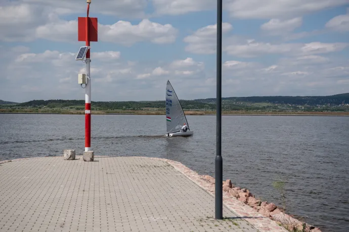 Látszólag nem a vízminőséggel van baj – Fotó: Bődey János / Telex
