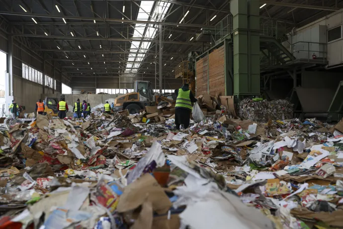 Beérkezett papírhulladékot válogatnak a Hamburger Recycling Hungary Kft. üzemében – Fotó: Melegh Noémi Napsugár / Telex