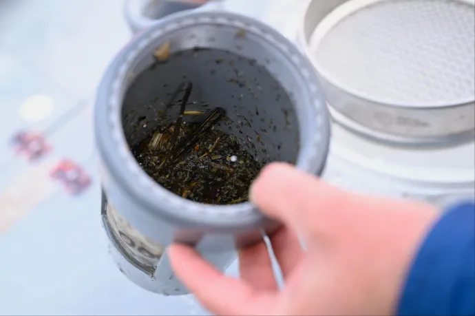 Még jobban melegíthetik a bolygót a műanyagok, mint eddig hittük