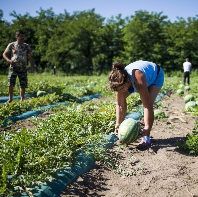 Nem maradt sok esély a minimálbér jövő évi 13 százalékos emelésére