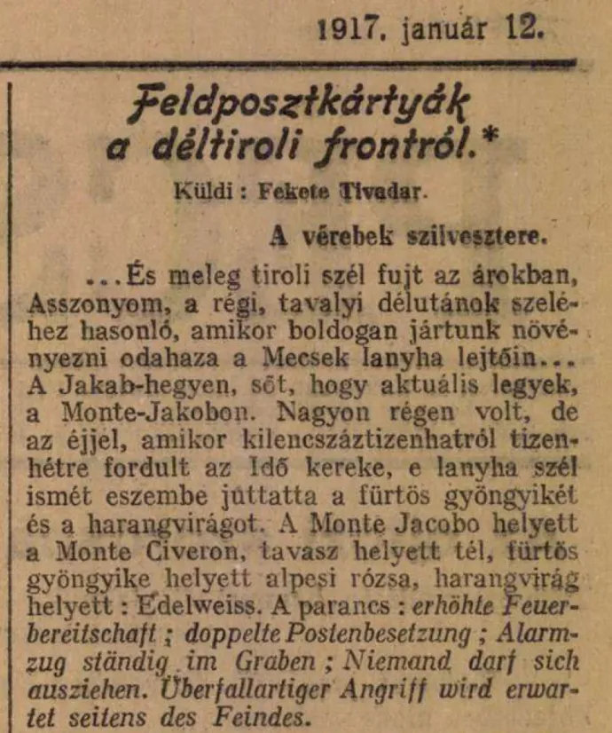 Fekete Tivadar tudósítása a Pécsi Napló 1917. január 12-i számában – Forrás: Arcanum Újságok