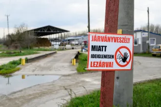 Vakcinázás helyett kényszervágás – miért így védekezik Magyarország a ragadós száj- és körömfájás ellen?