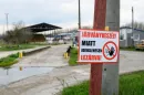 Vakcinázás helyett kényszervágás – miért így védekezik Magyarország a ragadós száj- és körömfájás ellen?