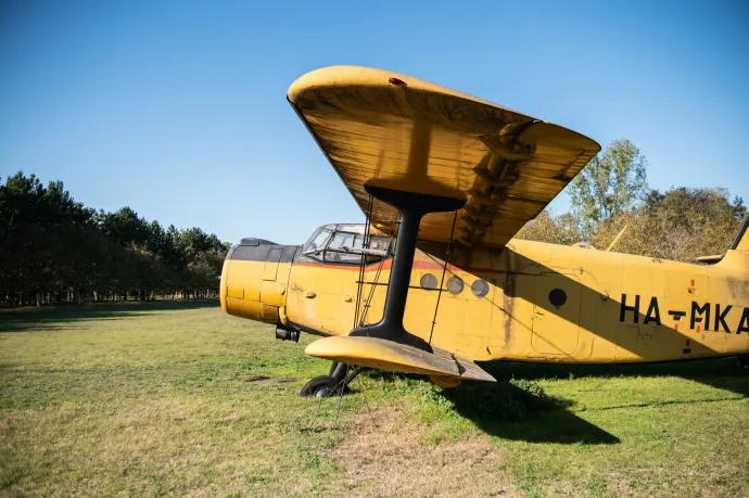 Szovjet An-2-es repülőgépek a Mórahalom és Domaszék közötti legelőn 2022 őszén – Fotó: Szűcs Dániel / Szegeder