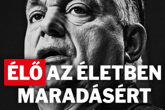 Élő az életben maradásért – 1% a Telexnek