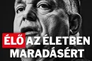 Schwab Richárd: Minden nap odajönnek hozzám emberek, van, hogy megölelnek – élő műsor az életben maradásért