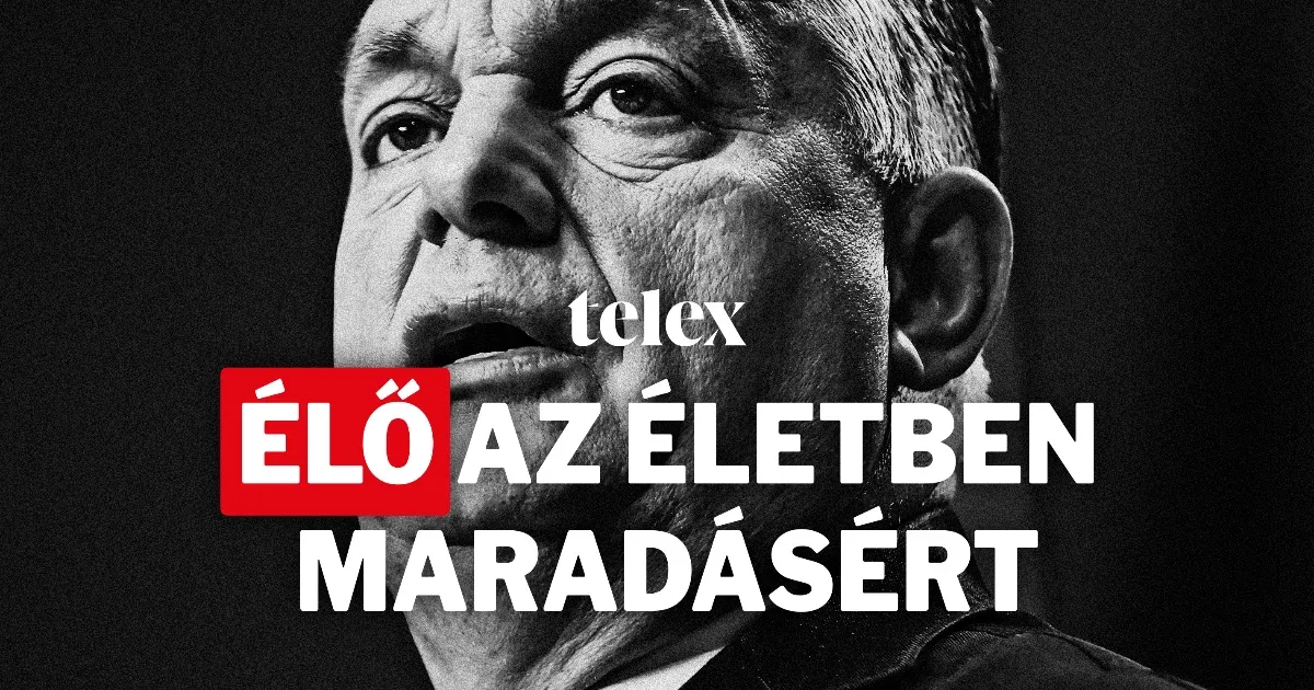 Élő az életben maradásért – 1% a Telexnek