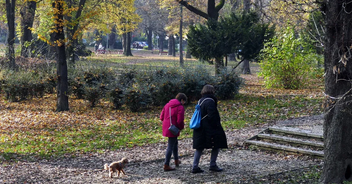 Tiborc Istvánék felajánlása után megnyílt a neres cégek pénztárcája az ellenzéki vezetésű kerületben