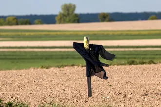 Izlandon 26 fok volt, itthon meg kabátban kell járni májusban