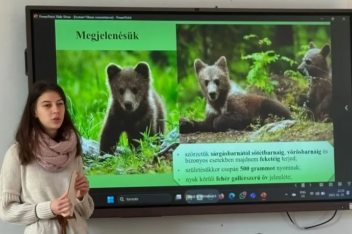 Medvés vándorkiállításra gyűjtenek a civilek, amivel bejárnák Székelyföld tanintézményeit