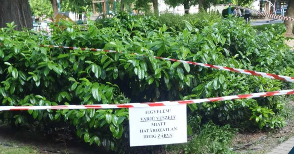 Varjútámadások miatt lezárták a ferencvárosi Ferenc teret, de elhárulni látszik a veszély