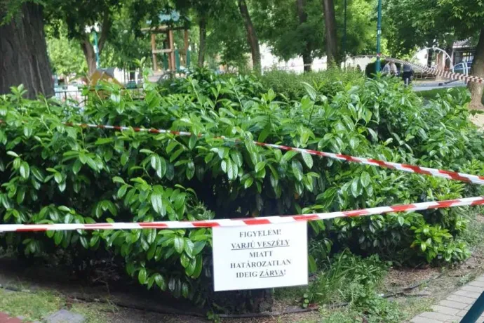 Varjútámadások miatt lezárták a ferencvárosi Ferenc teret, de elhárulni látszik a veszély