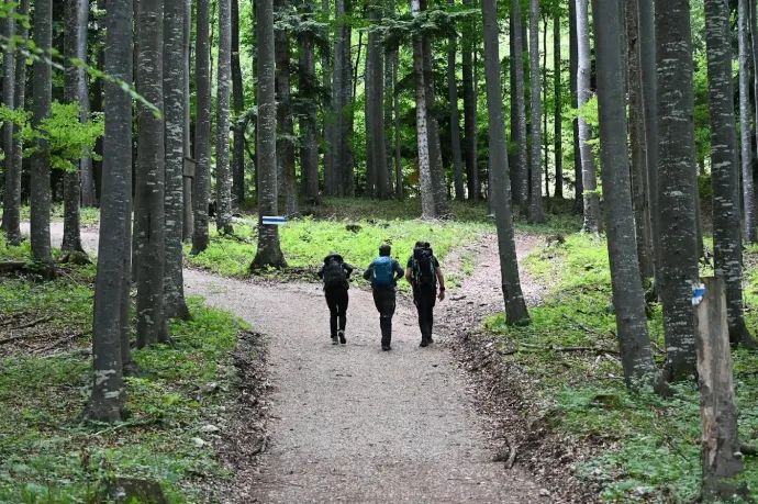 Hohe Wand, déli oldal – Fotó: Tenczer Gábor / Telex