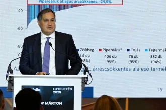 Beruházási fordulatot ígér Nagy Márton 2025 végére