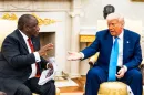 Könnyen izzasztó valóságshow-ba csöppenhet, akit Trump az Ovális Irodában fogad