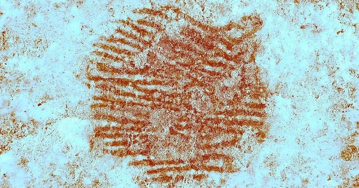 Íme a világ legrégebbi teljes emberi ujjlenyomata