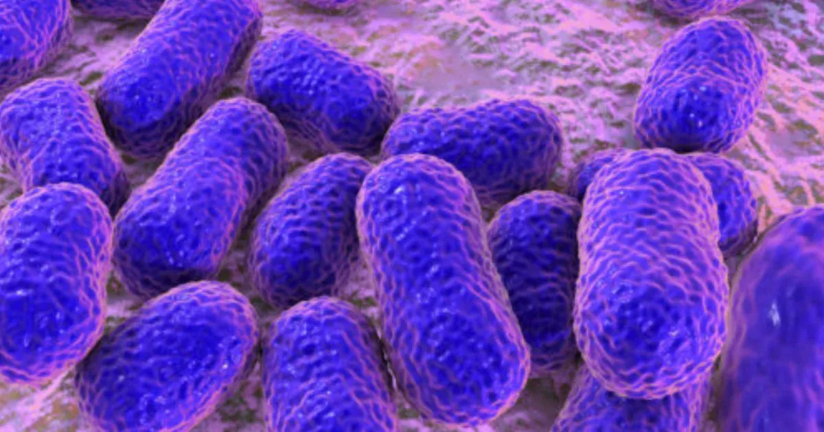A klinikai tesztek utolsó fázisába ért a szuperbaktérium ellen fejlesztett antibiotikum