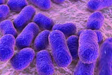 A klinikai tesztek utolsó fázisába ért a szuperbaktérium ellen fejlesztett antibiotikum
