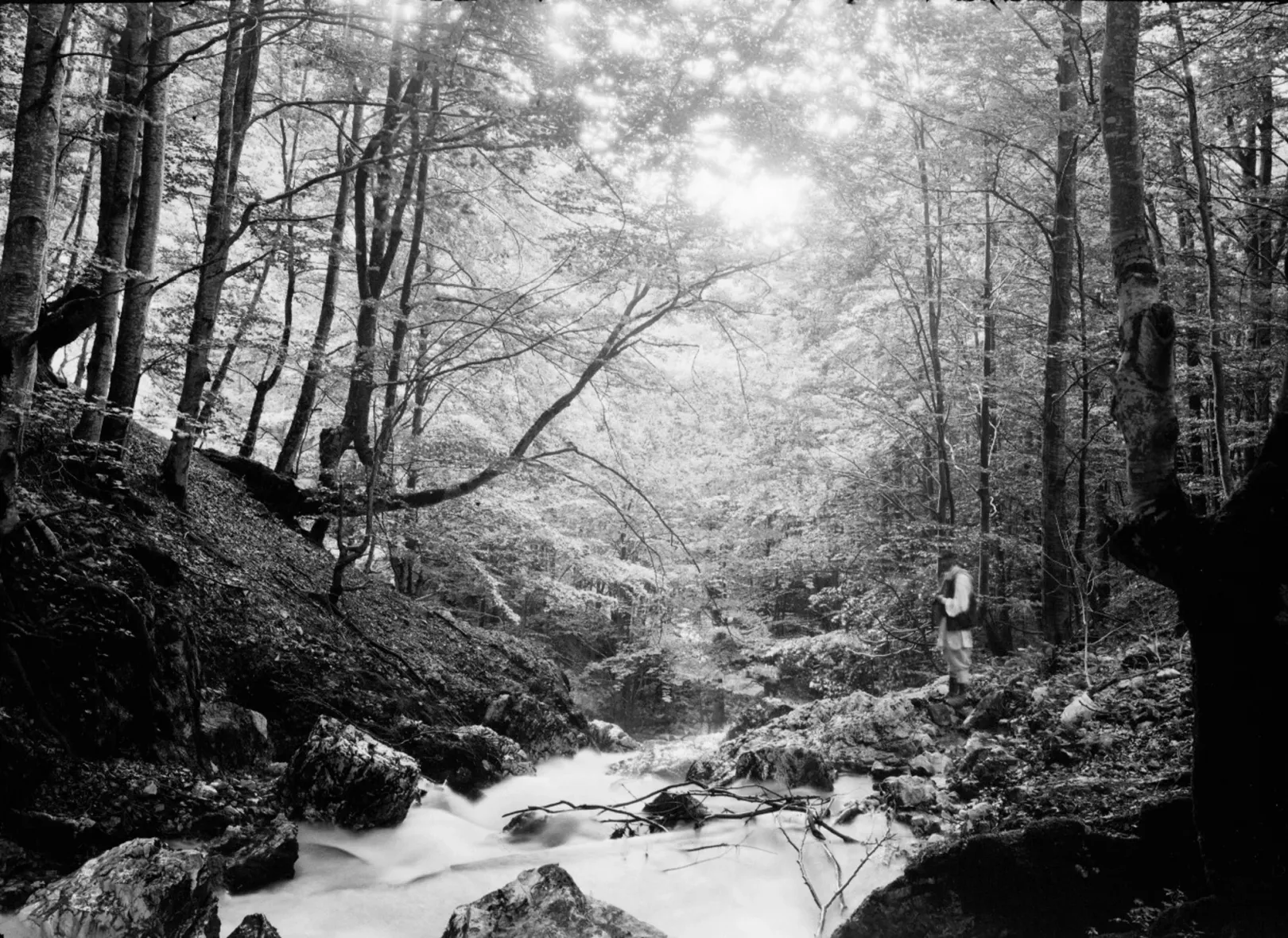 Kilátás a csoklovinai alsó barlang szájától a patakon lefelé, Hunyad vármegye, Magyarország, 1911.VI.30. – Fotó: Cholnoky Jenő Fényképtár / Cholnoky Jenő Hagyaték / Cholnoky Jenő Földrajzi Társaság