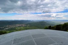 Ronda védőrácsot építettek a Pilis-tetőre, hogy megvédjenek egy ritka növényt, de senki sem teljesen elégedett