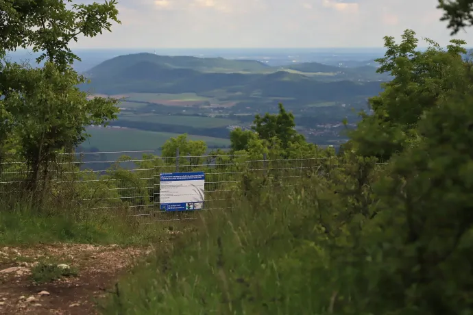 A kerítés, és a vegetációs időszak végére (őszre) tervezett tanösvény helye – Fotó: Martiskó Gábor; Tenczer Gábor / Telex