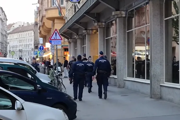 A pesti belvárosban razziázott a rendőrség, 11 embert elfogtak
