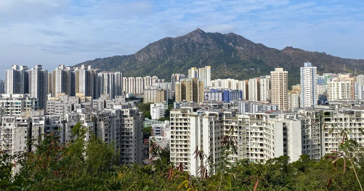 Mérges kígyó, agresszív makákó: csak egy sima túra Hongkong felhőkarcolói körül
